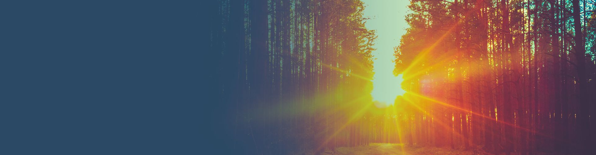 Whole Person Care model | NextGen Blog